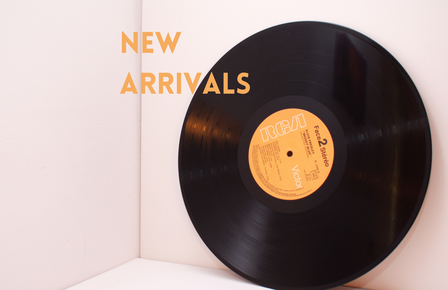 New Arrivals - Novedades